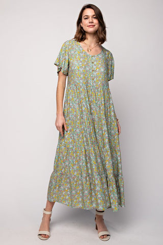 Plus Lafayette Dress