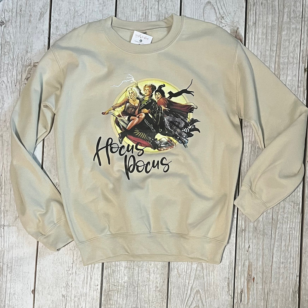 HP Witches Flying Pullover